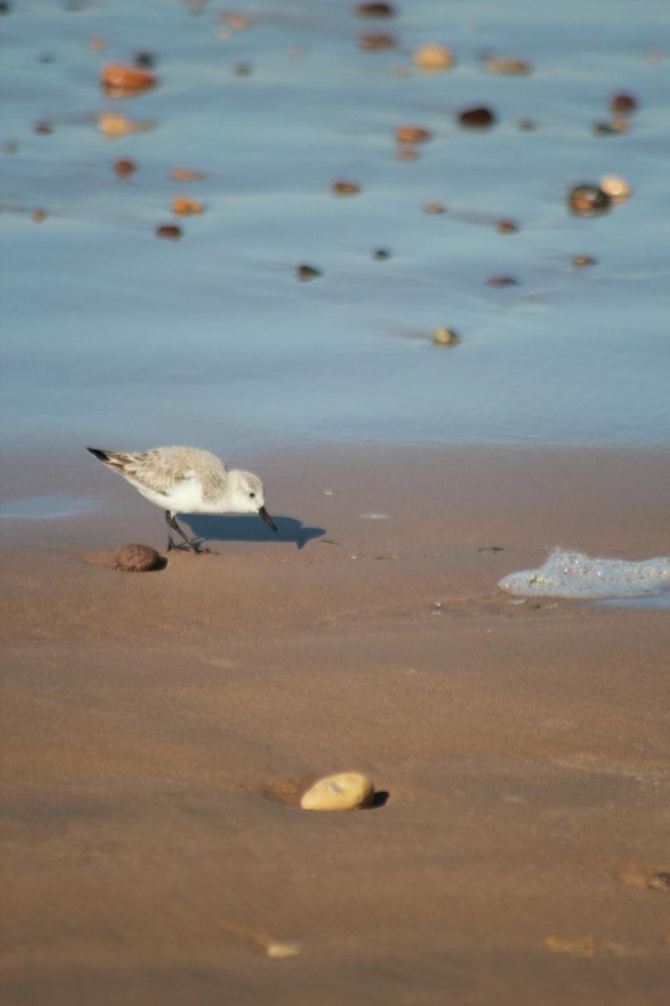 La Maison Des Vagues Sidi Kaouki Esterno foto