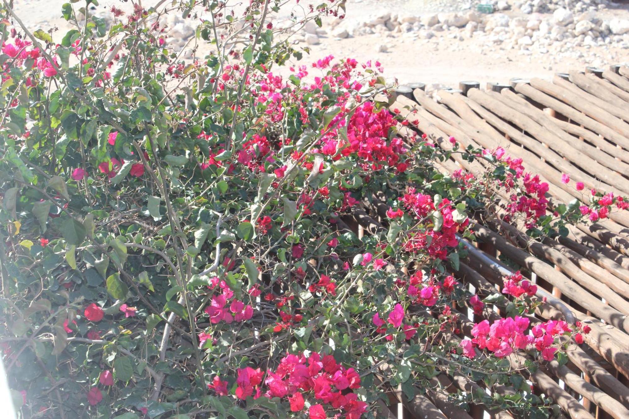 La Maison Des Vagues Sidi Kaouki Esterno foto